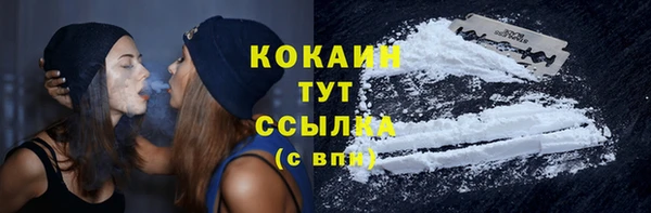 прущий лед Богданович