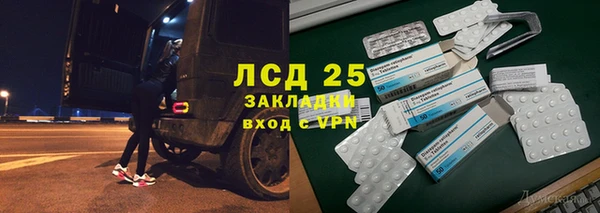 прущий лед Богданович