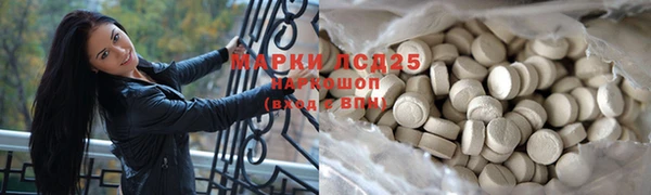 ГАЛЛЮЦИНОГЕННЫЕ ГРИБЫ Верея