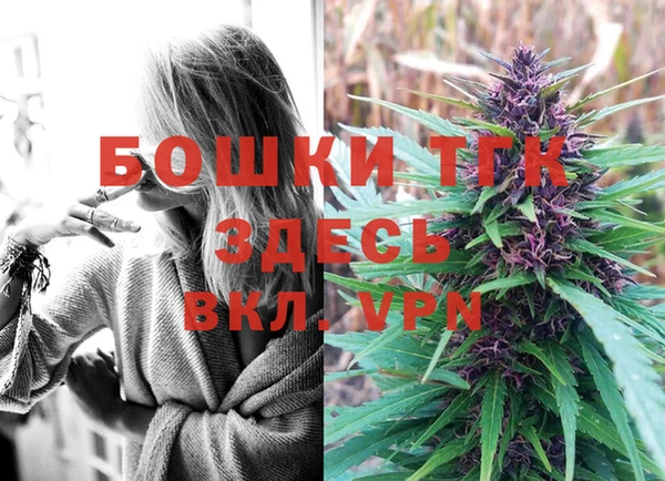 прущий лед Богданович