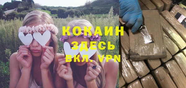 ГАЛЛЮЦИНОГЕННЫЕ ГРИБЫ Верея
