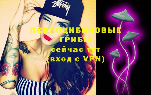 прущий лед Богданович