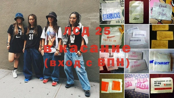 ГАЛЛЮЦИНОГЕННЫЕ ГРИБЫ Верея