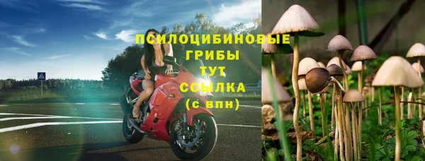 СК Богородск