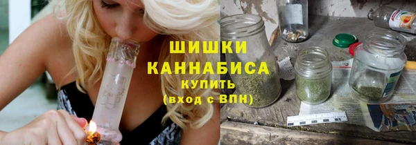 PSILOCYBIN Верхний Тагил