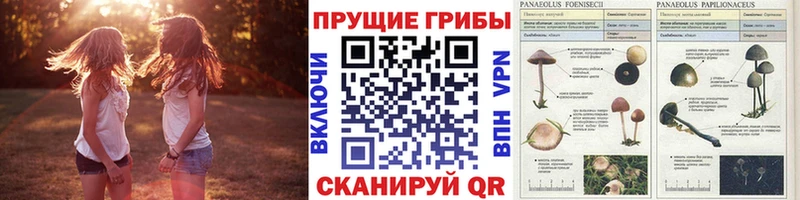Псилоцибиновые грибы мухоморы  Ветлуга 